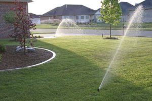 Front Lawn Irrigation