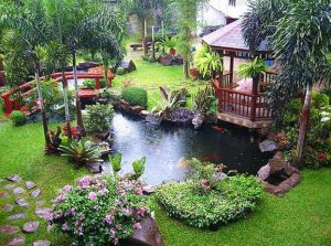 Backyard Landscape Design