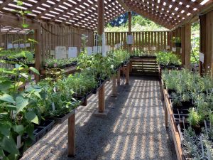 Herbal Farm Design Ideas