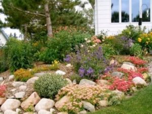 Rocks & Flowers Front Yard Garden Design Laguna Hills, CA